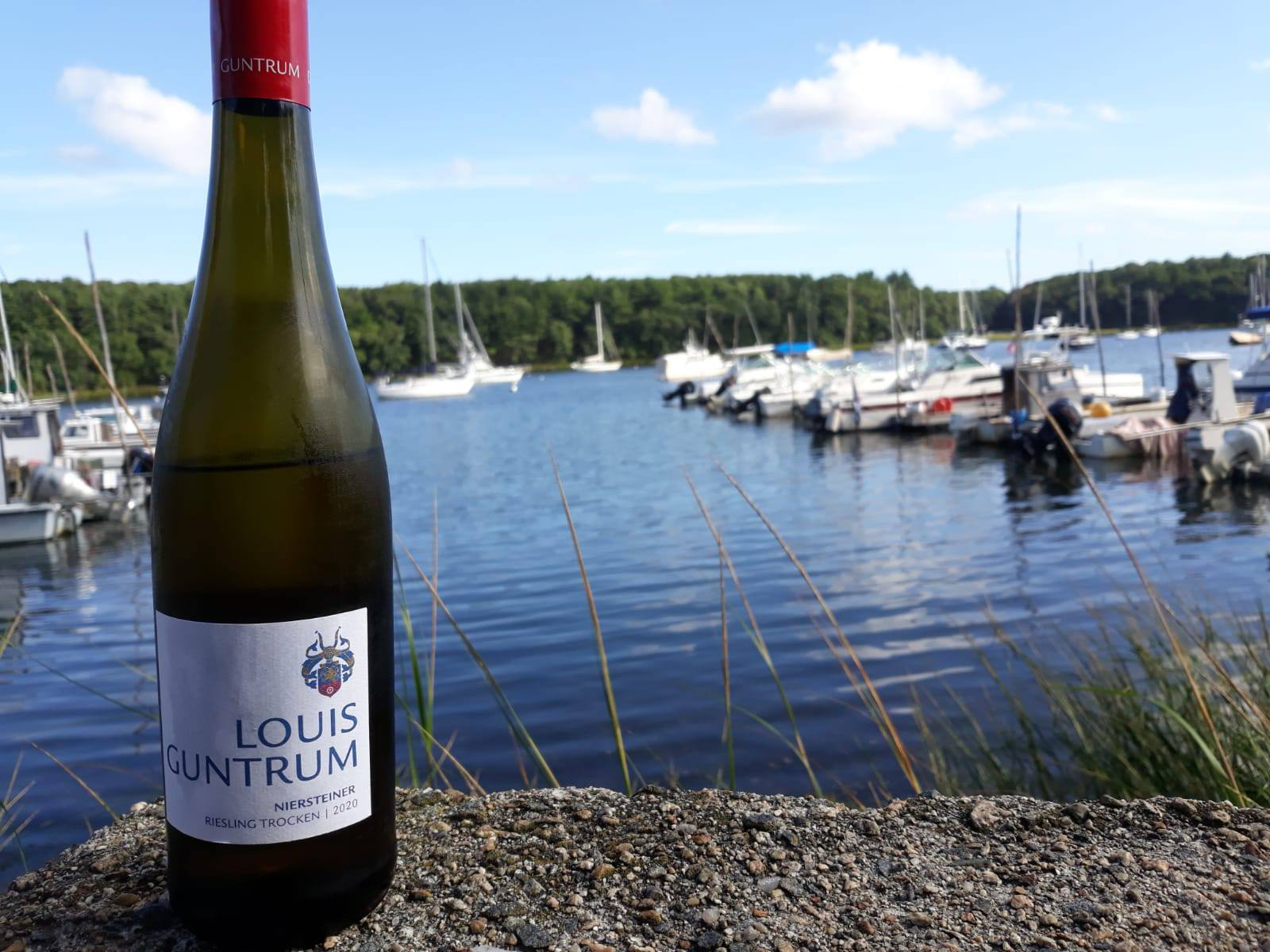 Louis Guntrum от LADOGA признали лучшим Рислингом