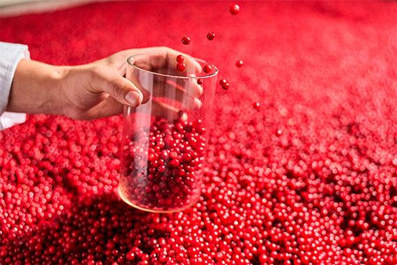 WILD BERRIES: натуральные настойки из дикорастущих северных ягод
